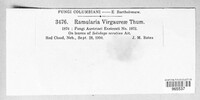 Image Associated With the Occurence